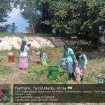 Swachhata Hi Seva (Cleaning Drive)